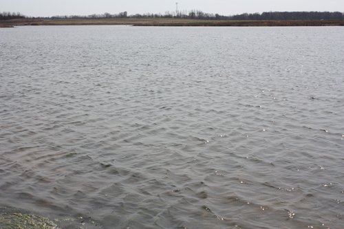 Property photo 3 - 194.67 Acres Offered in 2 Tracts